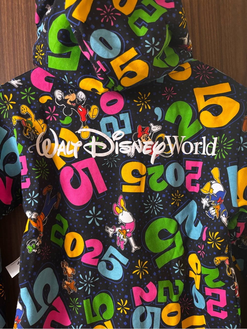 Disney World Kids Black Multicolor 2025 full zip Hoodie